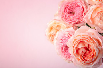 Bouquet of beautiful roses on color background, closeup