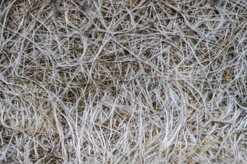 Fiber glass or fiberglass filaments foil, abstract texture