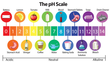An Education Poster of pH Scale - obrazy, fototapety, plakaty