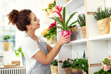 Floristic industry. Joyful happy woman holding a houseplant while working in the flower shop