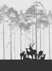 silhouette, vector illustration of a herd of deer against a coniferous forest background