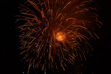Gold Fireworks
