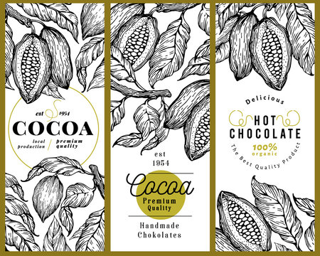 Cocoa Bean Tree Banner Template Set. Chocolate Cocoa Beans Background. Vector Hand Drawn Illustration. Vintage Style Illustration.