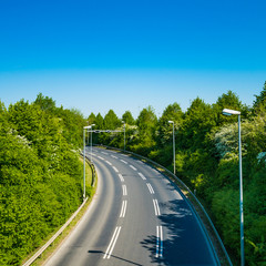 country road with trees beside. Asphalt road