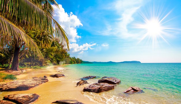 beautiful beach and tropical sea. Palm and tropical beach © EwaStudio