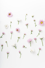 Floral pattern with tender pink and white flowers arranged as a flatlay on white background