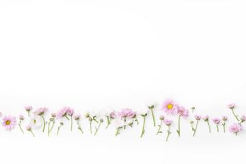 Flatlay with flowers and blossoms arranged on white background. Top view, copy space, botanical concept..