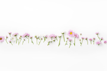 Flatlay with flowers and blossoms arranged on white background. Top view, copy space, botanical concept..