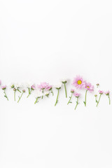 Flatlay with flowers and blossoms arranged on white background. Top view, copy space, botanical concept..