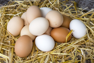 Chicken eggs