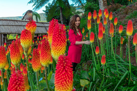 Girl standing in a red hot pokers field at Les Makes in Saint Louis in Reunion Island