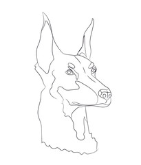 dog portrait, lines, vector