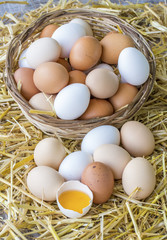 Chicken eggs