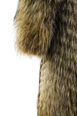 Fur texture. Raccoon dog fur.