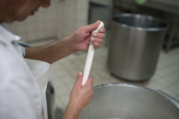 preparing different types of cheese in the dairy