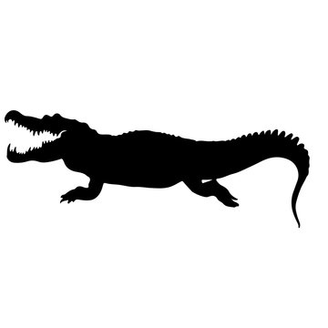 black silhouette of a crockodile. isolated vector illustration