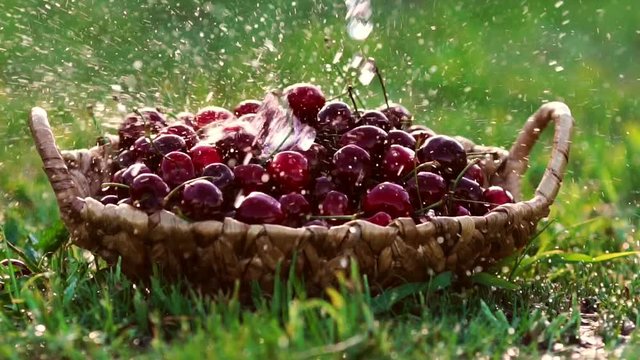 Close-up wash under running water red cherry berries in baskets standing on green grass