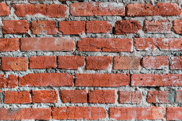 Fototapeta premium brick wall texture