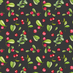 Watercolor cranberry seamless pattern, hand painted on a dark background