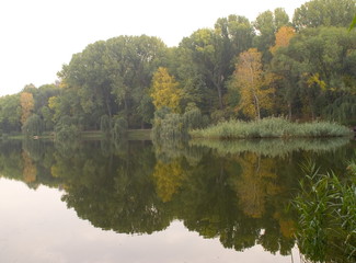 Fototapeta premium Natural landscape with beautiful mirror reflection of trees in the river