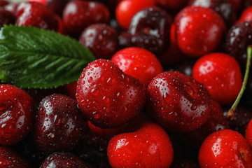 Fresh ripe cherry with water drops, closeup