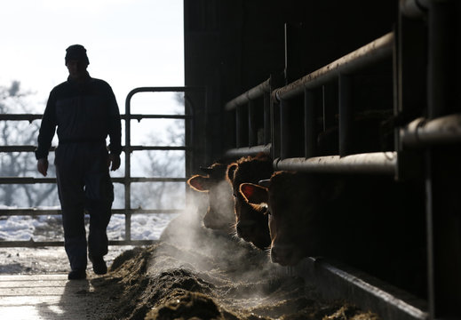 Agriculteur a la ferme
