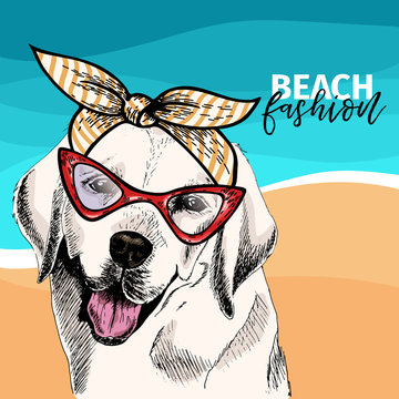 Vector portrait of Labrador retriever dog wears sunglasses, retro bandana. Summer fashion illustration. Sea, beach, ocean. Hand drawn pet portait. Poster, t-shirt print, holiday, postcard, summertime.