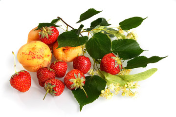 Клубника с абрикосами и с ветвью цветущей  липы на белом фоне.