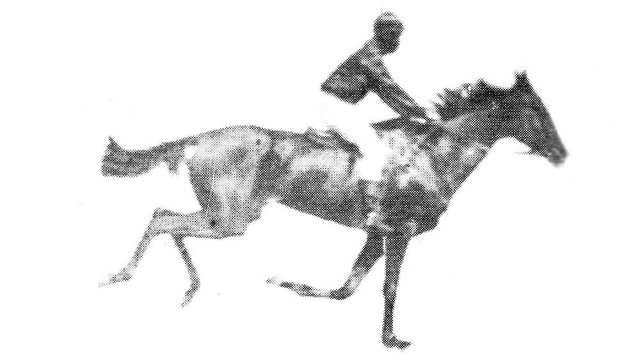Jockey Riding Horse Animation Loop 
