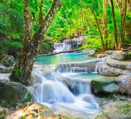 Deurstickers Prachtige waterval in diep bos © calcassa