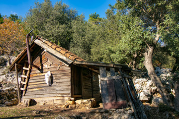 house, old, building, architecture, wooden, wood, forest, 