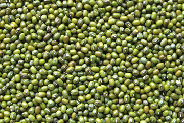green bean seed background