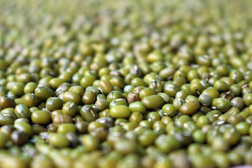 green bean seed background