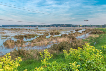 Flooded fields at high tide in Thornham, UK, England. In the foreground, plants and grasses, houses are visible from the back.