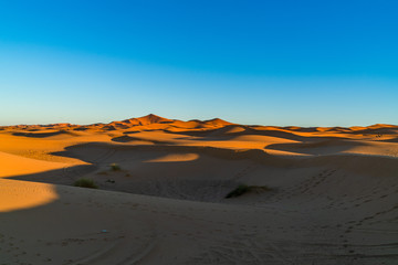Fototapeta na wymiar Deserts view , Morocco
