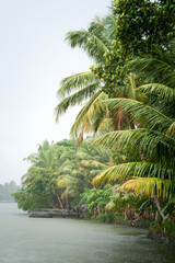 Monsoon time in tropics