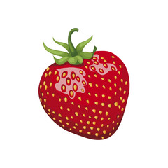 Strawberry. Sweet fruit. fresh red strawberry on white background. vector illustration. Realistic illustration. Vector Eps 10. 