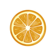 orange slice. juicy fresh fruit on a white background. vector 