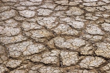 Crack on dry ground, texture, background