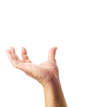 Adult male hand showing gesture of holding something isolated on white