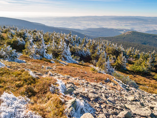Śnieżnik, the highest peak of the Śnieżnik Massif and in the Polish Eastern Sudety