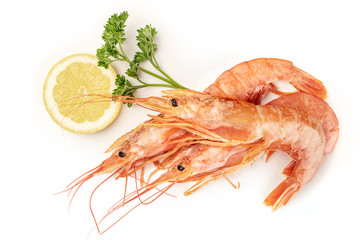 Overhead photo of raw shrimps on white, with parsley and a lemon slice, with copy space