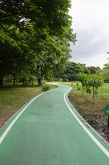 green bike lane in the nature park