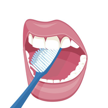 Vector image on a white background. how to brush your teeth rightly with a toothbrush. vector image on a white background. Healthy, white teeth. Open mouth , blue toothbrush. Mouth hy