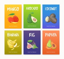 Collection of bright colored cards with delicious ripe juicy exotic tropical fruits, whole and cut into slices - mango, avocado, fig, banana, coconut, papaya. Hand drawn realistic vector illustration.