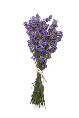 Obraz premium Fresh bunch of lavender flowers on a white background.