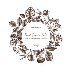 Vector design with hand drawn nuts sketches. Vintage hazelnut, walnut, almond illustrations. Organic food template for menu, packing, branding, card designs on white background.