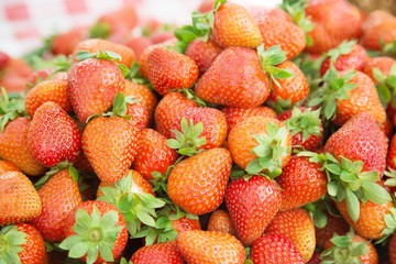 Strawberry. Fresh organic harvested from farm produce. Fruit On fabric red plaid background.