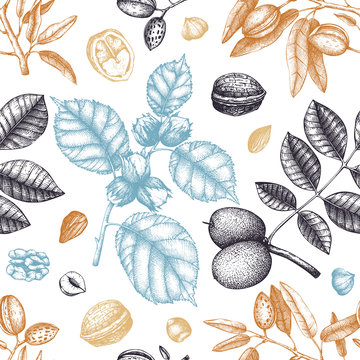 Seamless pattern with hand drawn nuts. Vintage hazelnut, walnut, almond illustrations. Engraved style organic food background.