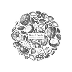 Vector design with hand drawn nuts and seeds sketches. Hazelnut, walnut, pine nut, chestnut, sunflower, flax and pimpkin seeds drawing. Organic food template.